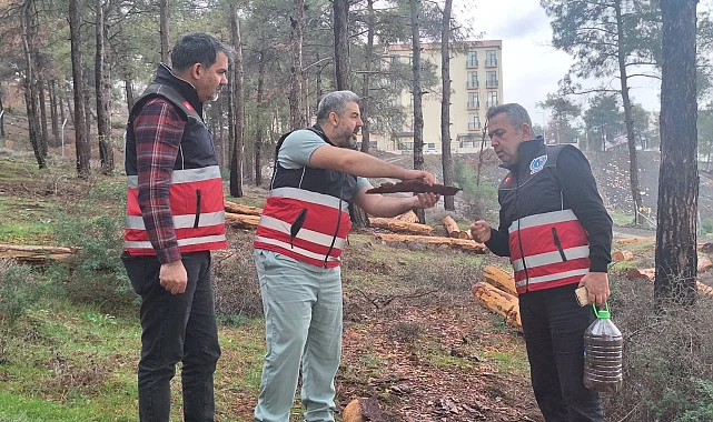 Hatay'da mücbir ağaç kesimlerine 'Tabiatı Koruma'dan açıklama