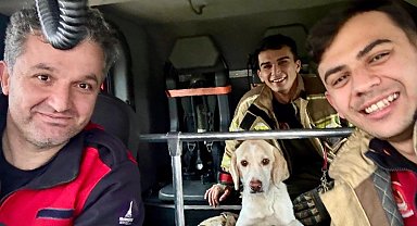 İzmir İtfaiyesi tüm canlıların imdadına yetişiyor