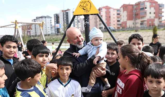 Kayseri Kocasinan'da park ve bahçelere kış bakımı