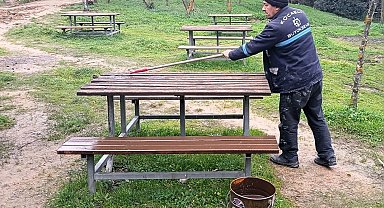 Kocaeli Gebze Gaziler Dağı Tabiat Parkı'na bakım