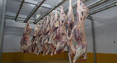 Kocaeli Mezbahası'nda hijyenik ve helal kesim