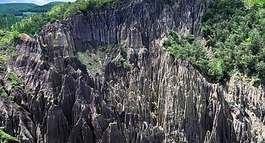 Korunan alan sayısı 692'ye yükseldi