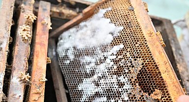 Manisa'da sel mağduru arıcıya kovan desteği