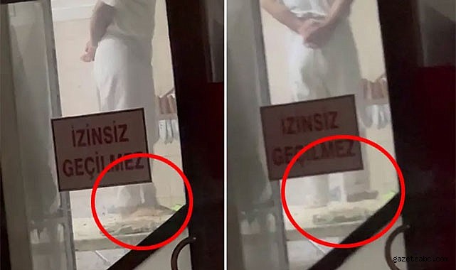 Mide Bulandıran Görüntü Sakarya’yı Salladı