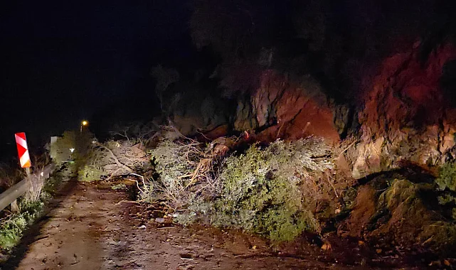 Mudanya-Kurşunlu yolunda geceyarısı heyelan! Yol ulaşıma kapandı