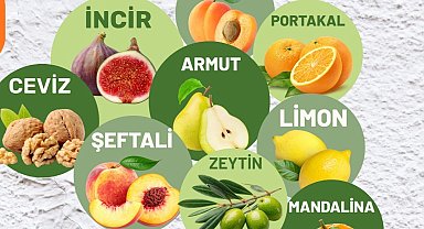 Muğla Milas'ta üreticilere fidan desteği sağlanacak