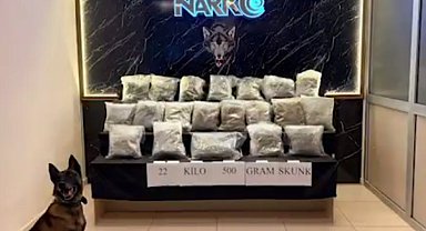 Narko Edirne, Hamzabeyli'de 22,5 kilo skunk ele geçirdi