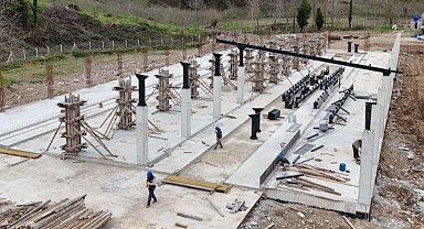 Ordu'da Fatsa'ya tarım ve hayvancılıkta dev yatırım