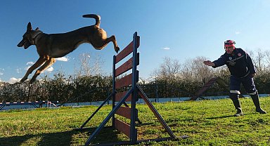 Sakarya'da Reina, Ateş, Google ve Labrador en zor anda 'umut' olmaya hazır kıta