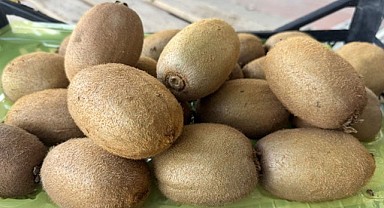 Tarım Tarihinde İlk