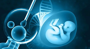 Tüp Bebek Tedavisinde Yeni Dönem