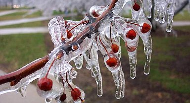 Uzmanlar uyarıyor: Meyve bahçelerinde don riski için mikro-sprinkler çözümleri öne çıkıyor