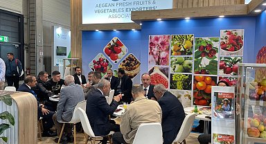 Yaş meyve sebze sektöründen Almanya'ya çıkarma