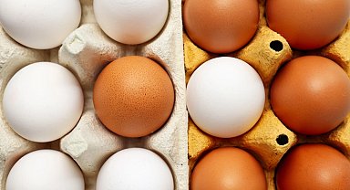 Yumurtanın doğrudan arzında limit artışı... Resmi Gazete'de yayımlandı