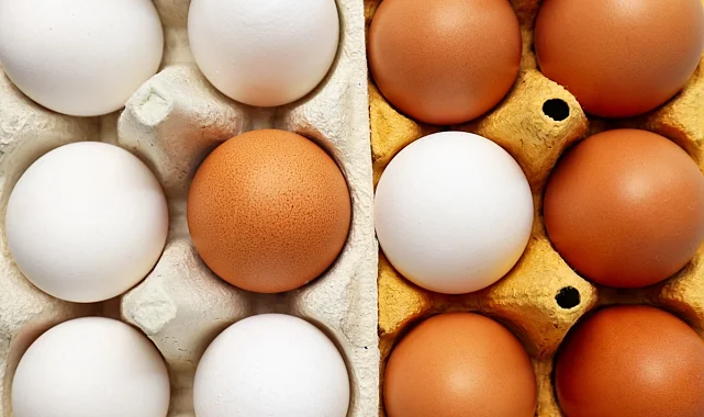 Yumurtanın doğrudan arzında limit artışı... Resmi Gazete'de yayımlandı