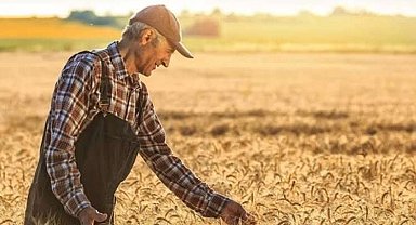 2025'te tarım işçilerinin günlük ücretleri arttı