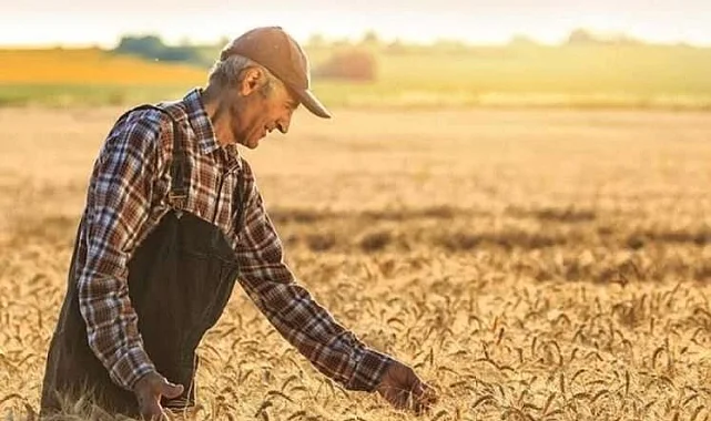 2025'te tarım işçilerinin günlük ücretleri arttı