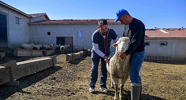 ABB'den kırsala veterinerlik hizmeti