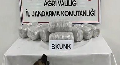 Ağrı'da 10 kilogram skunk ele geçirildi