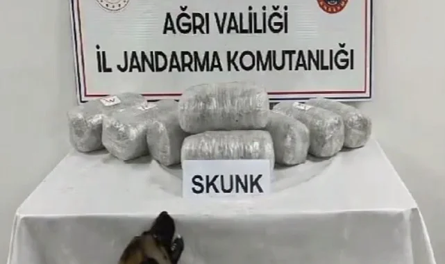 Ağrı'da 10 kilogram skunk ele geçirildi