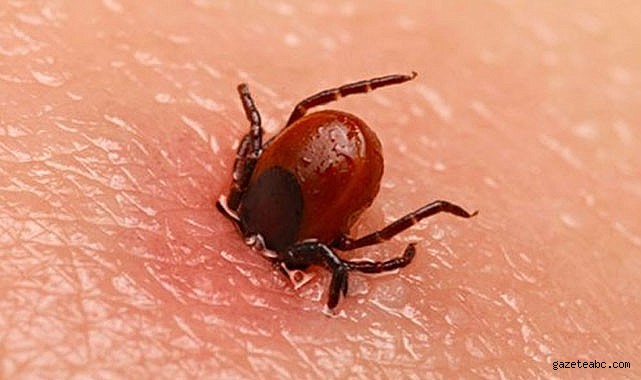 Altı Şehirde Risk Yükseldi