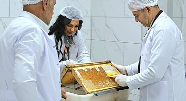 Artvin 'Bal Çalıştayı'na hazırlanıyor