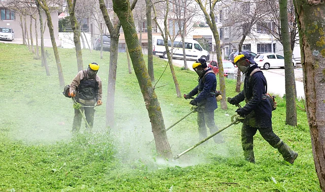 Baharla birlikte Osmangazi'de ot temizliği başladı
