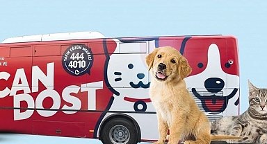 Balıkesir'de patili canlara mobil sağlık hizmeti