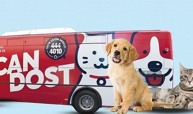 Balıkesir'de patili canlara mobil sağlık hizmeti