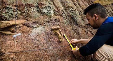 Brezilya’da Dev Dinozor Keşfi