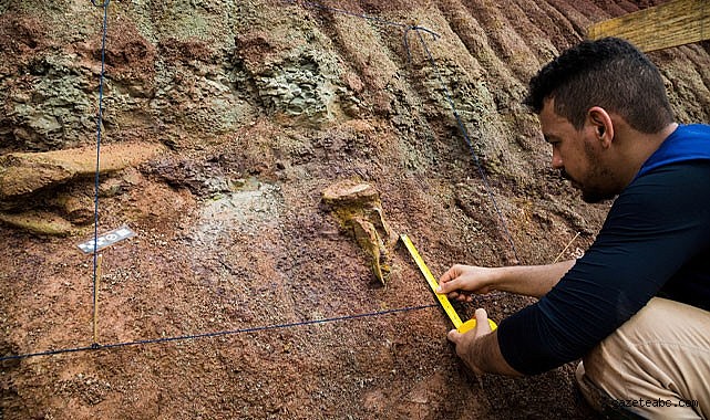 Brezilya’da Dev Dinozor Keşfi