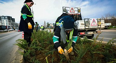 Bursa Büyükşehir'den cadde ve bulvarlara estetik dokunuş