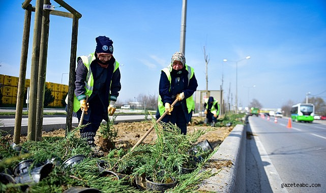 Bursa’da Refüjler Yeşile Bürünüyor