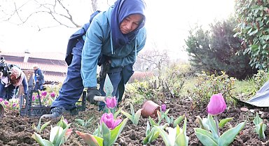 Bursa Osmangazi'nin her bir noktası çiçek açtı