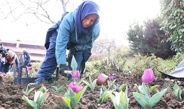 Bursa Osmangazi'nin her bir noktası çiçek açtı