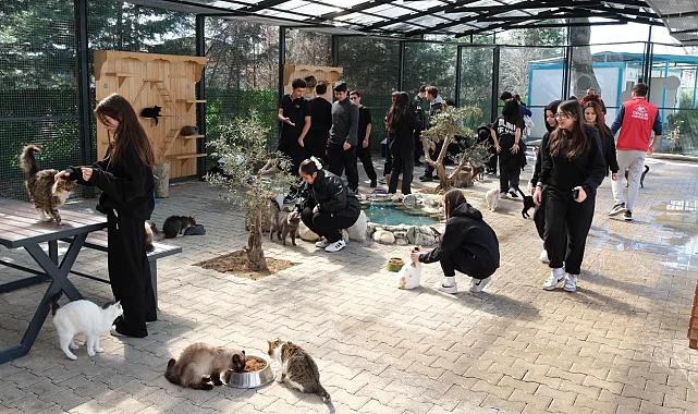 Bursa Yıldırım'da gençlerden patili dostlara sevgi ziyareti