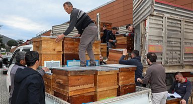 Bursa'da arıcılık Büyükşehir'le canlandı