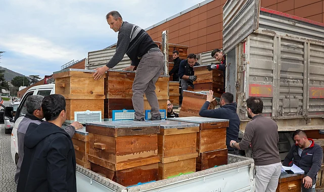 Bursa'da arıcılık Büyükşehir'le canlandı
