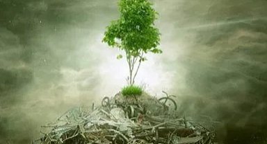 ÇED 'gerekli değil' kararı kaldırıldı! Yönetmelikle süreçler değişti