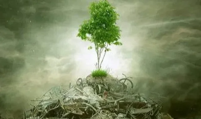 ÇED 'gerekli değil' kararı kaldırıldı! Yönetmelikle süreçler değişti