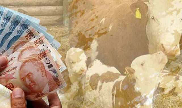 Çiftçilere 10,7 milyar TL tarımsal destek ödemesi yapılacak