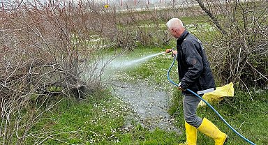 Enez'de larva ilaçlaması başladı