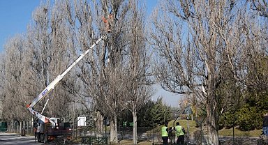 Eskişehir Sazova Parkı'nda çalışmalar devam ediyor