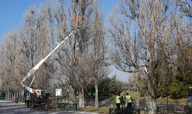 Eskişehir Sazova Parkı'nda çalışmalar devam ediyor