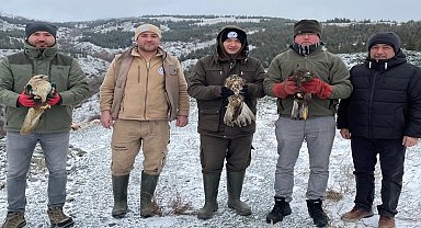 Eskişehir'de tedavi edilen yırtıcı kuşlar doğaya salındı
