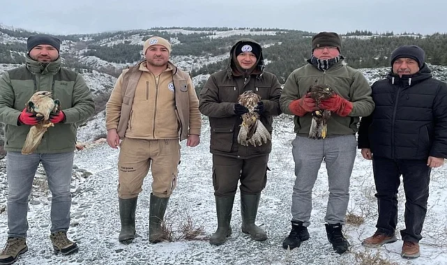 Eskişehir'de tedavi edilen yırtıcı kuşlar doğaya salındı