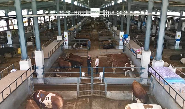 İnegöl Belediyesi hayvan pazarının kotra ihale tarihi belli oldu