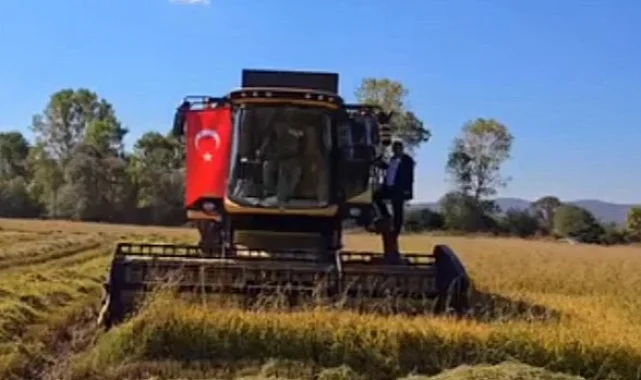 İstanbul'da yeni üretim sezonu için tohum ve fideler hazır