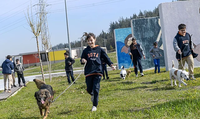 İzmir'de 2 bin 300 patili yuva bekliyor