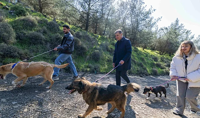 İzmir'de "tek sağlık" hamlesi